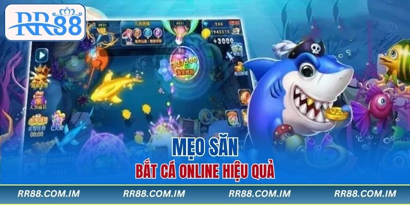 Mẹo săn bắt cá online hiệu quả