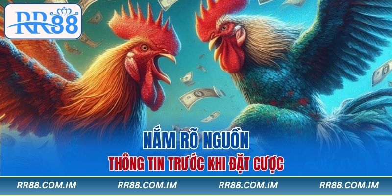Nắm rõ nguồn thông tin trước khi đặt cược đá gà campuchia