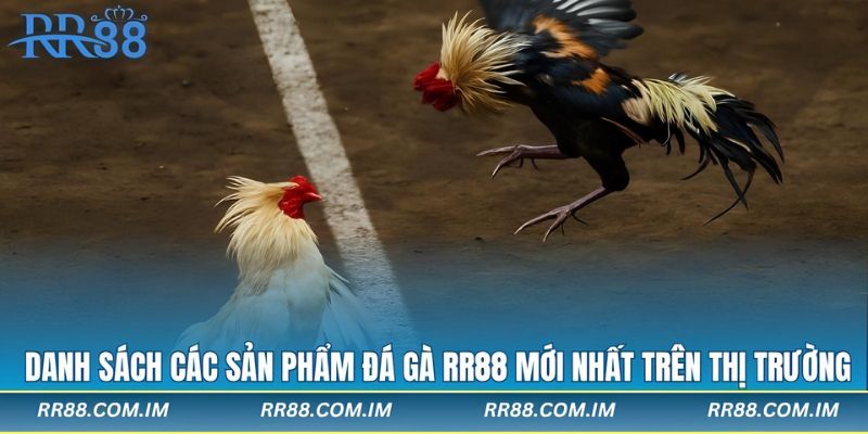 Lý do người chơi nên thực hiện tham gia đá gà rr88